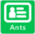 Bouton ANTS vert .png